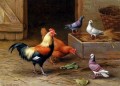 鶏 鳩と鳩 鶏の家畜小屋 エドガー・ハント
